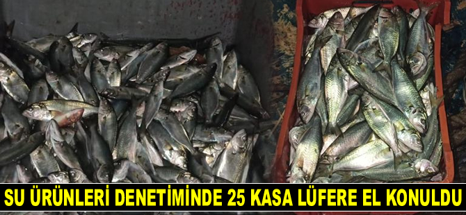 Yenikapı'da su ürünleri denetiminde 25 kasa lüfere el konuldu
