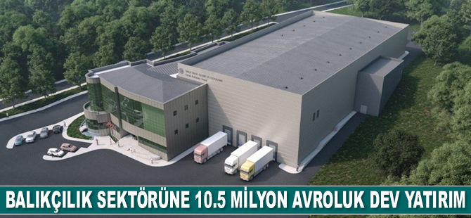 Sinop’a balık işleme, şoklama ve depolama tesisi kuruluyor