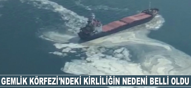 Gemlik Körfezi'ndeki kirliliğin nedeni belli oldu
