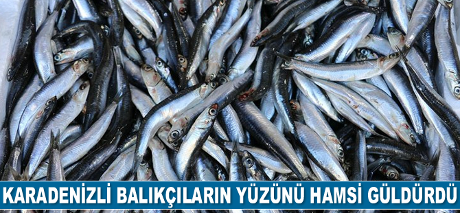 Hamsi, Karadeniz'e geri döndü