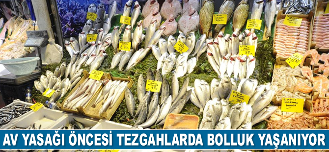 Av yasağı öncesi balık tezgahlarında bolluk yaşanıyor