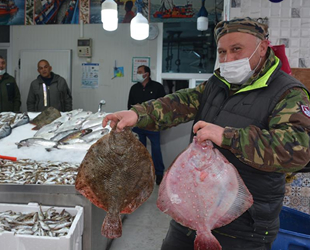 Kalkan balığı tadımlık oldu, fiyatı cep yakıyor