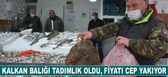 Kalkan balığı tadımlık oldu, fiyatı cep yakıyor