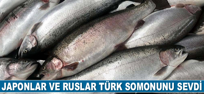 Japonlar ve Ruslar, Türk somonunu sevdi