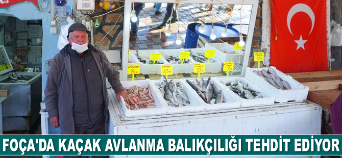 Foça'da kaçak avlanma balıkçılığı tehdit ediyor