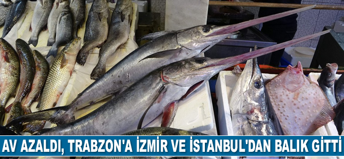 Karadeniz'de av azalınca Trabzon'a İzmir ve İstanbul’dan balık gitti