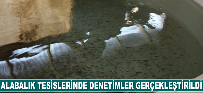 Iğdır’da alabalık tesisleri denetlendi