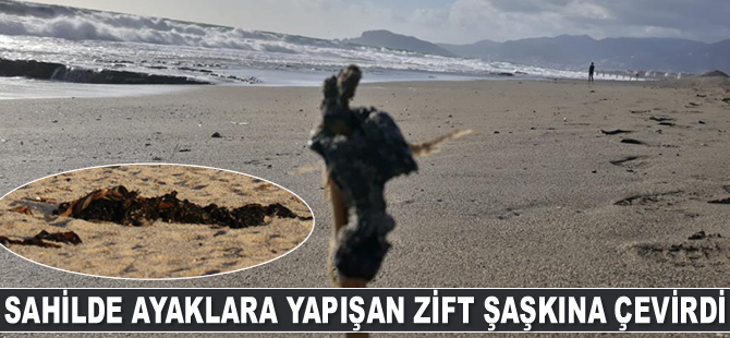 Alanya’da sahilde ayaklara yapışan zift şaşkına çevirdi