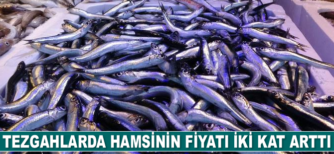 Tezgahlarda hamsinin fiyatı iki kat arttı