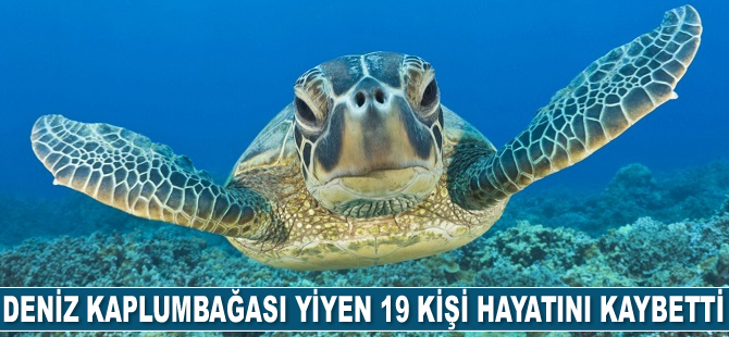 Madagaskar'da deniz kaplumbağası yiyen 19 kişi öldü