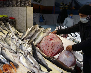 Kalkan ve deniz levreği fiyatıyla şaşırtıyor