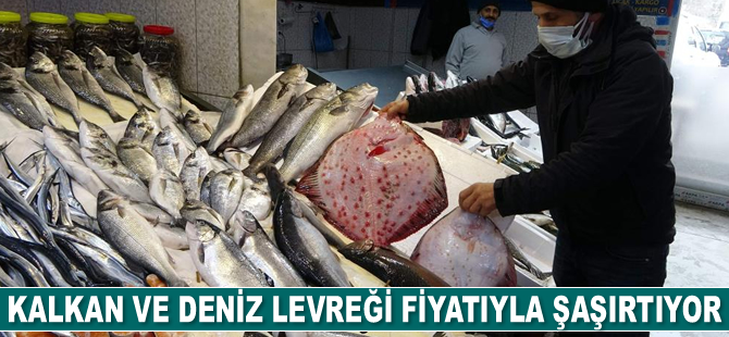 Kalkan ve deniz levreği fiyatıyla şaşırtıyor