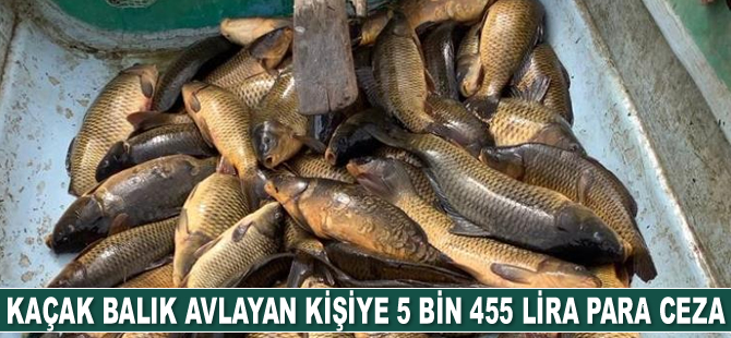 Kaçak balık avlayan kişiye 5 bin 455 lira para cezası kesildi