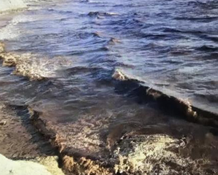 Adana'daki deniz kirliğinin nedeni belli oldu