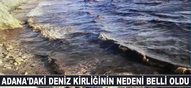 Adana'daki deniz kirliğinin nedeni belli oldu