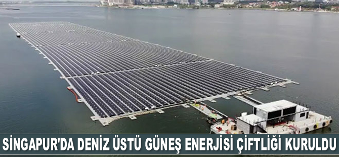Singapur’da deniz üstü güneş enerjisi çiftliği kuruldu