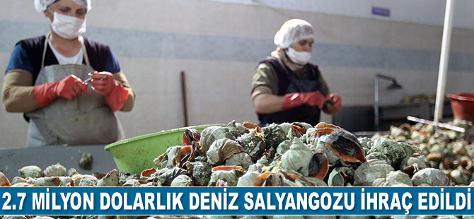 Türkiye'den yılın ilk iki ayında 2.7 milyon dolarlık deniz salyangozu ihraç edildi