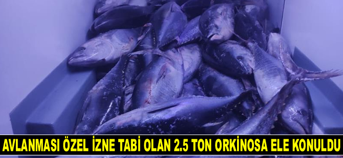 Beylikdüzü’nde avlanması özel izne tabi olan 2.5 ton orkinosa ele konuldu
