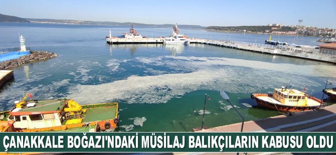 Çanakkale Boğazı’ndaki müsilaj balıkçıların kabusu oldu