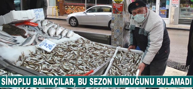 Sinoplu balıkçılar, bu sezon umduğunu bulamadı