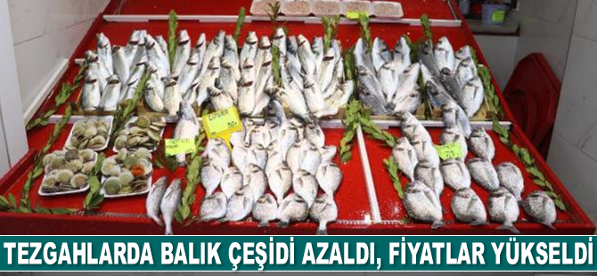 Tezgahlarda balık çeşidi azaldı, fiyatlar yükseldi