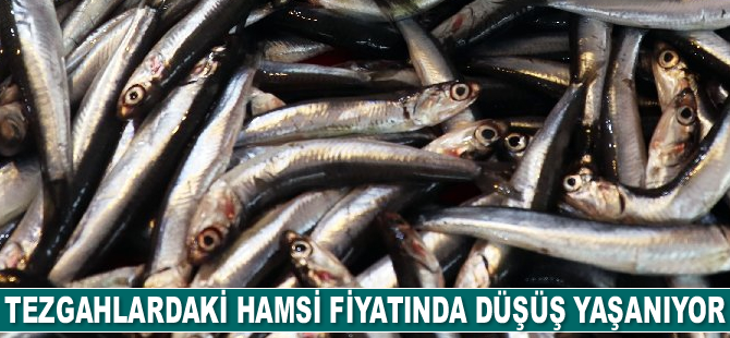 Tezgahlardaki hamsi fiyatında düşüş yaşanıyor