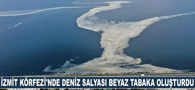 İzmit Körfezi'nde deniz salyası beyaz tabaka oluşturdu