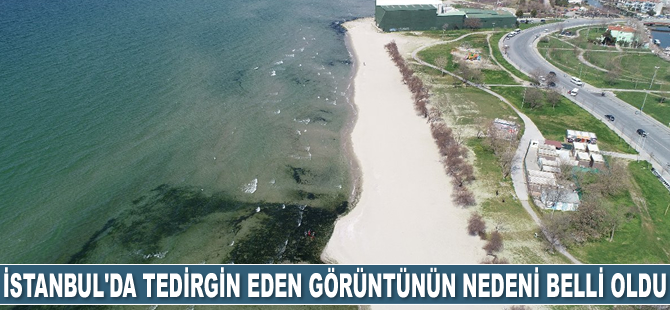 İstanbul’da vatandaşları tedirgin eden görüntünün nedeni belli oldu
