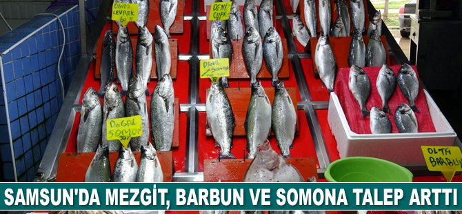 Samsun’da mezgit, barbun ve somona talep arttı