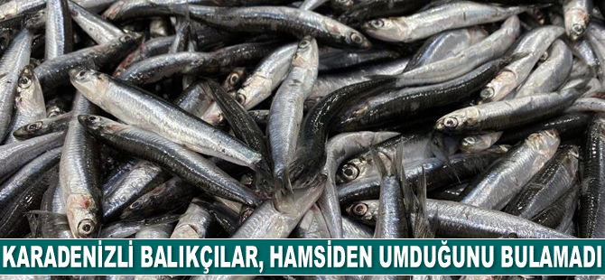 Balıkçılar, hamsiden umduğunu bulamadı