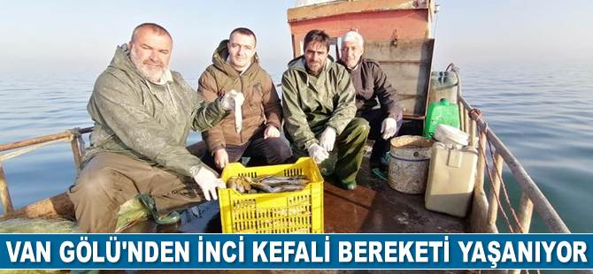 Van Gölü'nden inci kefali bereketi yaşanıyor