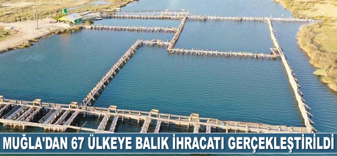 Muğla’dan 67 ülkeye balık ihracatı gerçekleştirildi