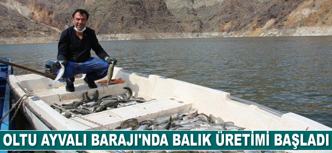 Ayvalı Barajı’nda balık üretimi başladı