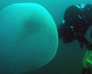 Akdeniz çevresinde de görülen dev baloncukların sırrı çözüldü