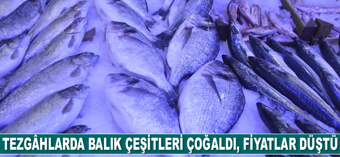 Tezgâhlarda balık çeşitleri çoğaldı, fiyatlar düştü
