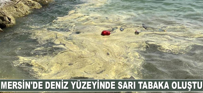 Mersin’de deniz yüzeyinde sarı tabaka oluştu