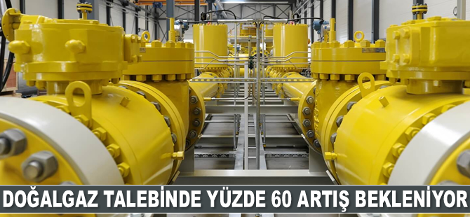 Polonya’nın doğalgaz talebinde yüzde 60 artış bekleniyor