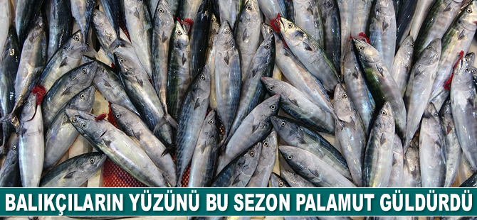 Balıkçıların yüzünü bu sezon palamut güldürdü