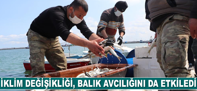 İklim değişikliği balıkçılığı da etkiledi