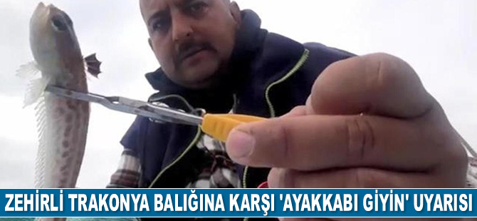 Zehirli trakonya balığına karşı 'ayakkabı giyin' uyarısı yapıldı