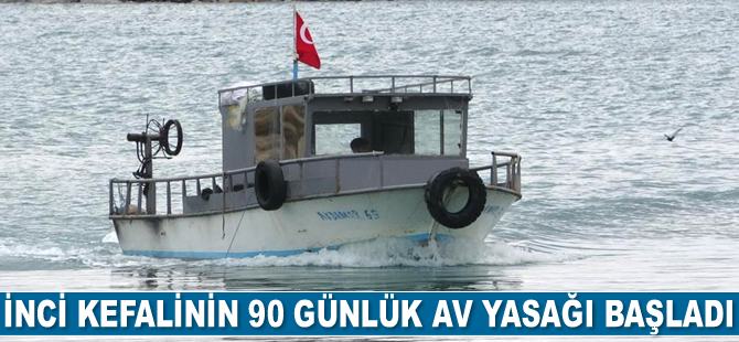İnci kefalinin 90 günlük av yasağı başladı