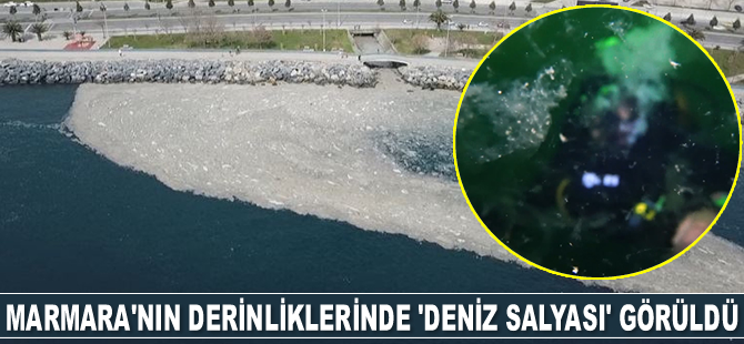 Marmara'nın derinliklerinde 'deniz salyası' görüldü