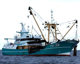 Elektrikle balıkçılık yasağına karşı açılan dava reddedildi