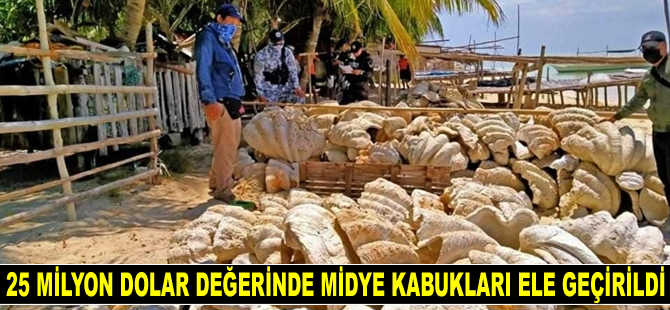 Filipinler'de 25 milyon dolar değerinde yasa dışı midye kabukları ele geçirildi