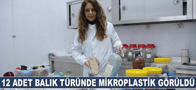 12 adet balık türünde mikroplastik görüldü