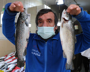 Palamut güldürdü, hamsi üzdü