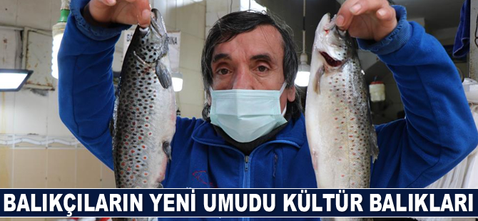 Palamut güldürdü, hamsi üzdü