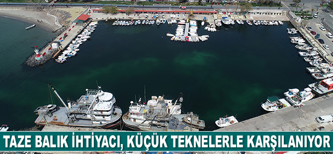 Taze balık ihtiyacı, küçük teknelerle karşılanıyor