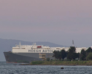 Hoegh Pusan isimli gemi, Tuzla’da karaya oturdu