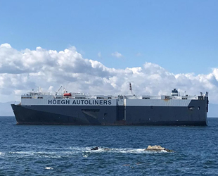 Tuzla'da karaya oturan gemiyi kurtarma çalışmaları sürüyor